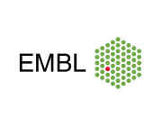 Logo client